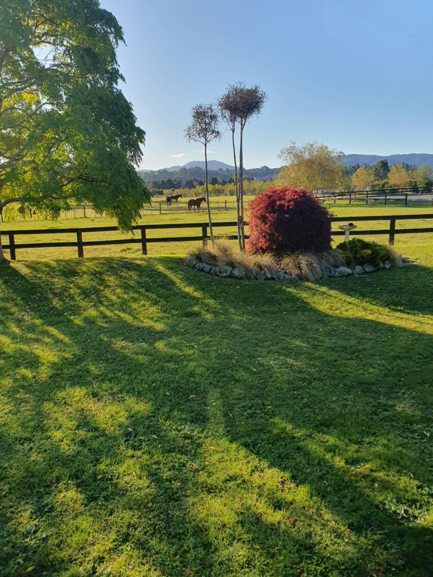 Mangaroa, Farmstay Аппер-Хатт Экстерьер фото